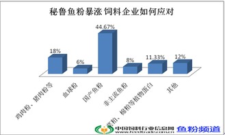 代辦昌平區勞務派遣許可證、公司增資墊資與專業勞務派遣服務全攻略